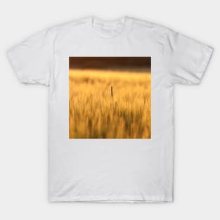 Couch Grass T-Shirt